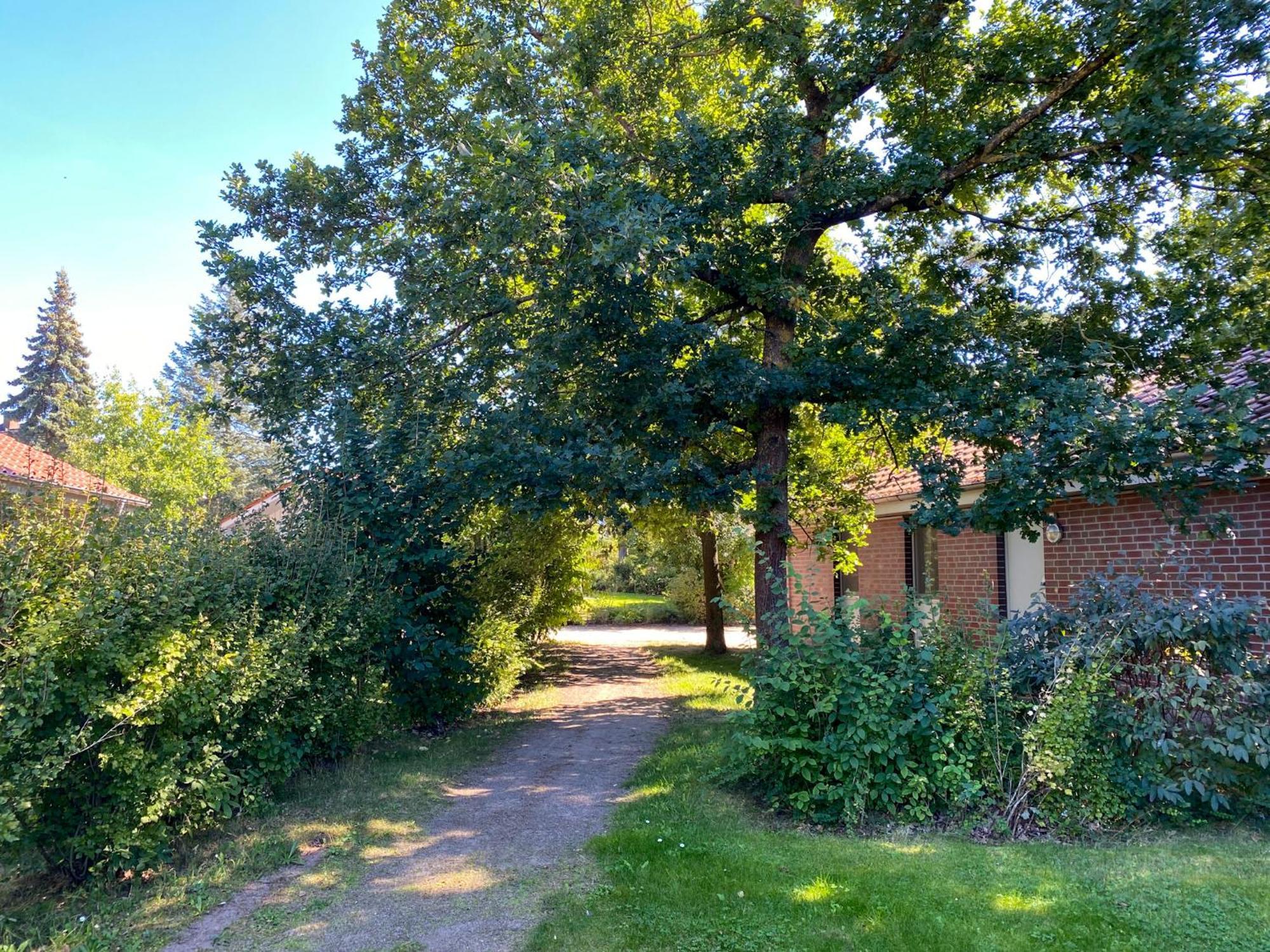 Ferienhaus Wiesengefluester W10 - Mit Sauna, Kamin Und Garten Röbel Kültér fotó